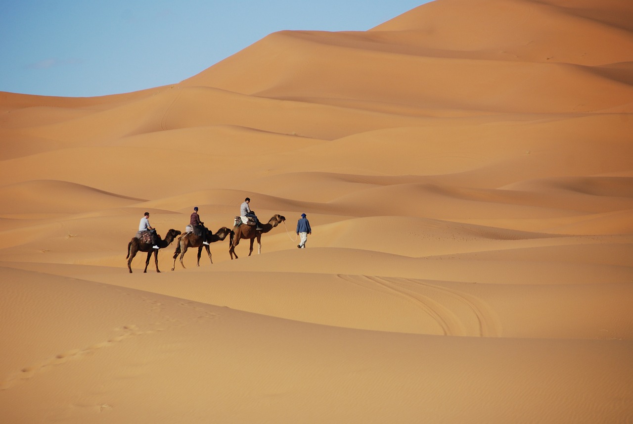 desert, sand, dunes-1914052.jpg