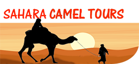 Sahara camel tours  unique, private desert Tour
