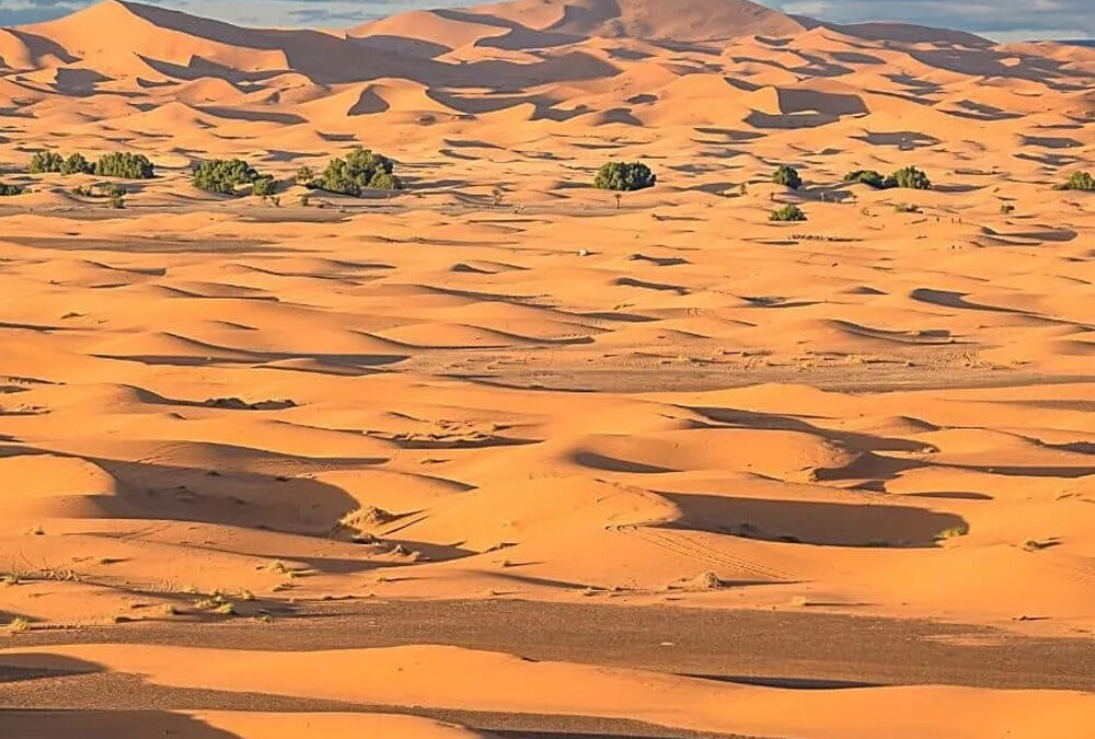 11 Days Trip from Casablanca to Erg Chebbi desert