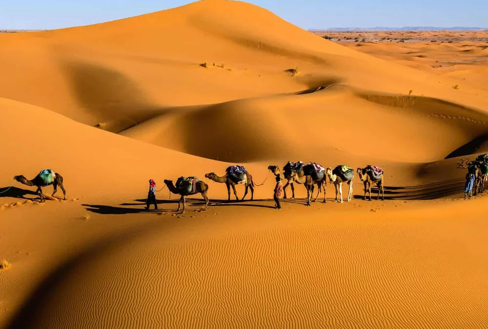 Tour de 3 días desde Marrakech a Merzouga que termina en Fez
