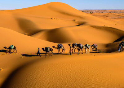 3 Days Tour from Marrakech to Merzouga ending in Fes