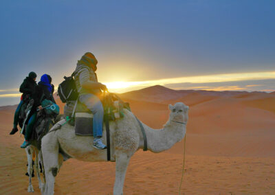 Sunrise Camel Excursion in Merzouga Desert