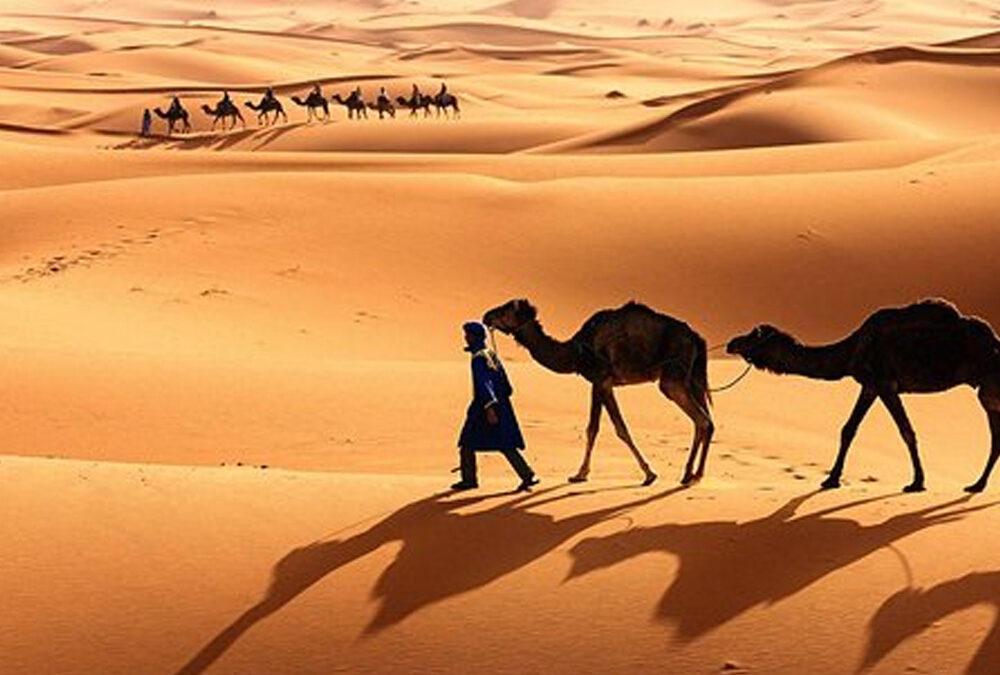 8 Days Grand Tour to visit sea and Zagora Desert