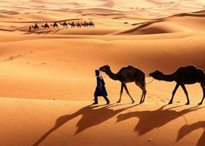 8 Days Grand Tour to visit sea and Zagora Desert