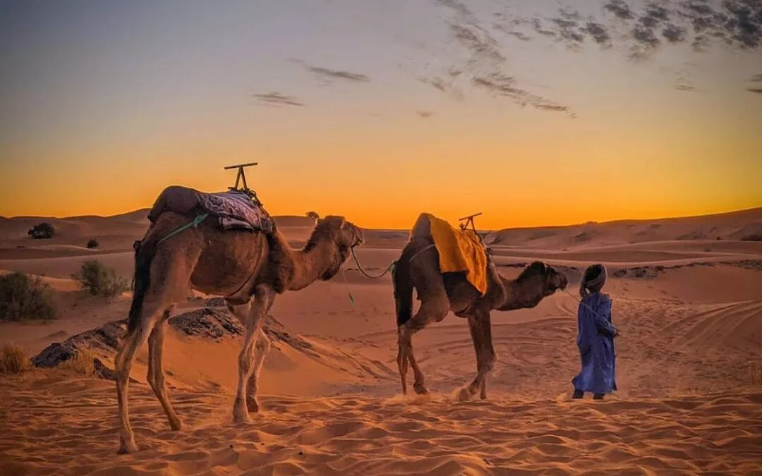 Merzouga Travel Guide: To Do, Where to Eat and Sleep