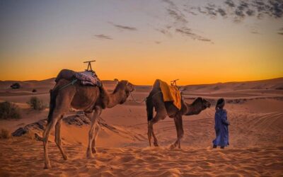 Merzouga Travel Guide: To Do, Where to Eat and Sleep