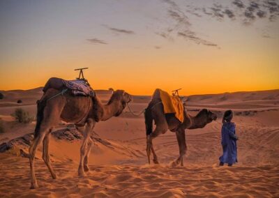 Overnight Camel Excursion in Merzouga Desert