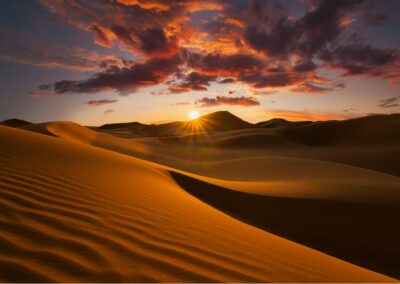 Sahara Camel Tours
