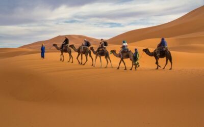 How to Live as a Nomad in the Moroccan Sahara: Experience Nomadic Life