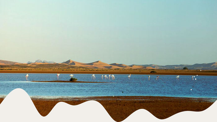 Visit-Lake-Dayet-Srij-(Flamingo-Lake)-in-Merzouga
