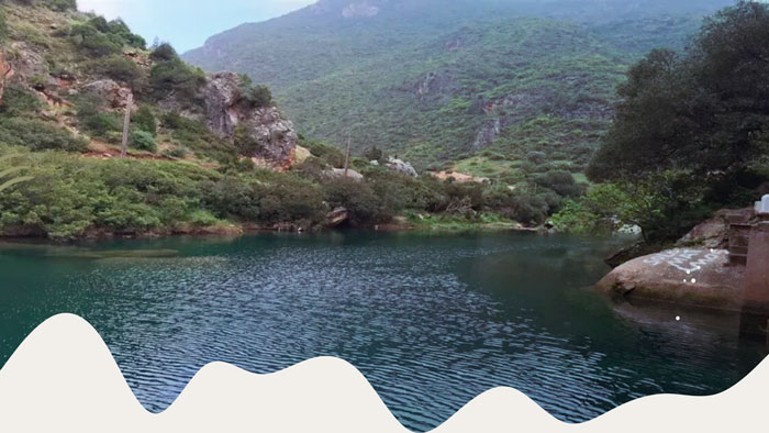 National-Parks-&-Forests-in-morocco