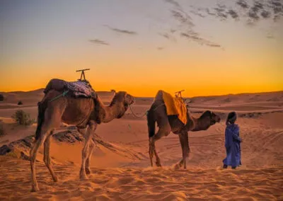 Morocco Premium Sahara Desert Camel Trips in Merzouga, Zagora, & Agafay