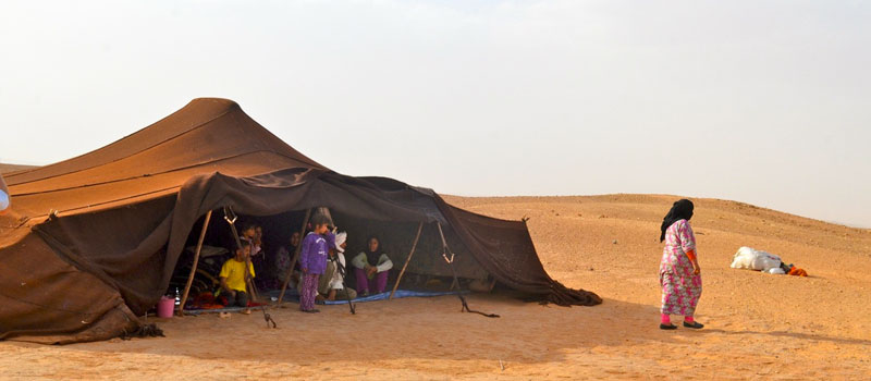 Volunteer Travel with Nomadic Families in Morocco