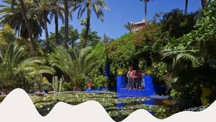 majorelle