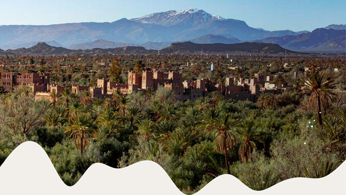 Palm-Groves-of-Skoura