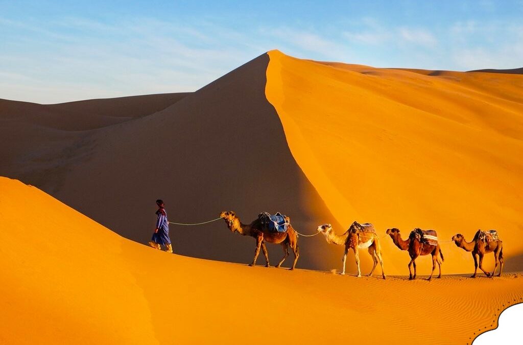 Ultimate 7-Day Morocco Tour Itinerary: Discover the Magic of the Sahara and Imperial Cities