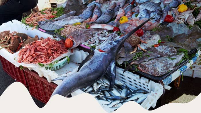 Moroccan regional cuisine