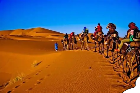 Camel trek in Merzouga Sahara Desert – Fes To Marrakech Desert Tour 3 Days