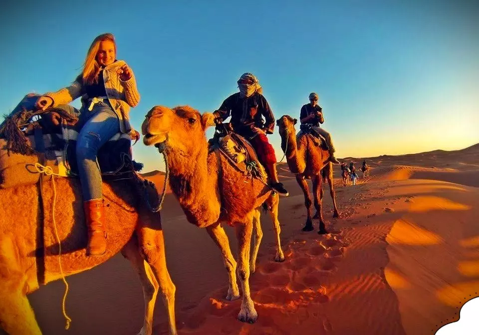 Excursión en camello por el desierto del Sáhara, Marruecos, como parte de las actividades del desierto del Sáhara.