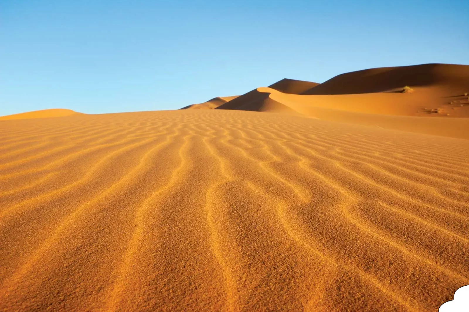 Actividades en el desierto del Sáhara que muestran las vastas dunas doradas y los paisajes del desierto del Sáhara marroquí.