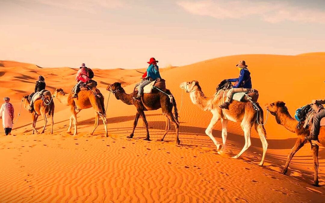 Sunset Camel Tour Merzouga: A Magical Sahara Experience