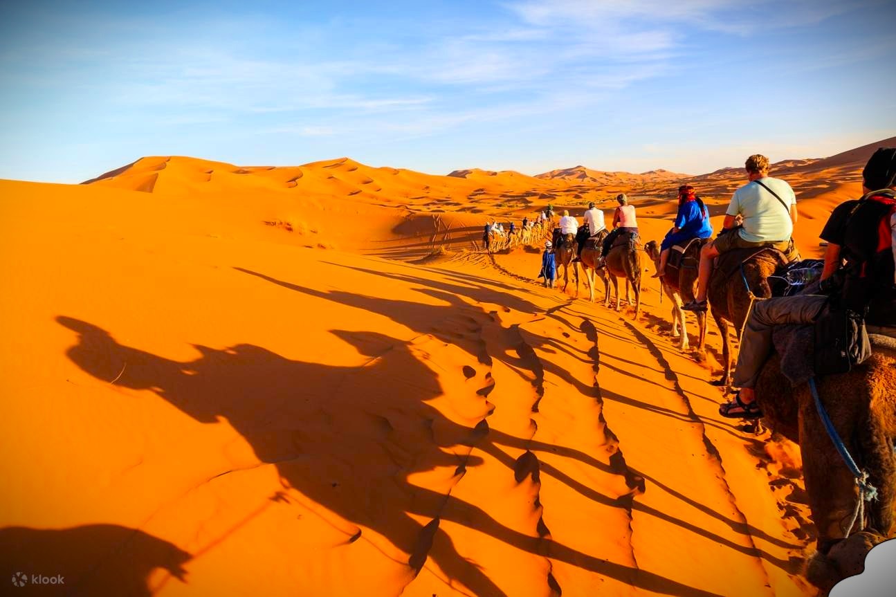 sunset-camel-tour-merzouga-dunes Travelers riding camels across the golden dunes during Sunset Camel Tour Merzouga