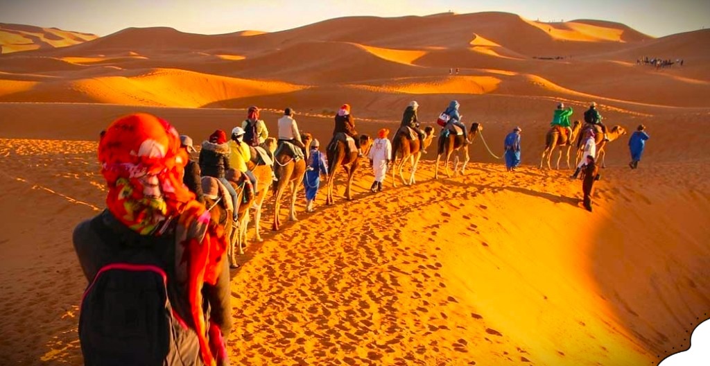 sunset-camel-tour-merzouga-sahara-desert Sunset Camel Tour Merzouga with camels walking through the golden Sahara dunes