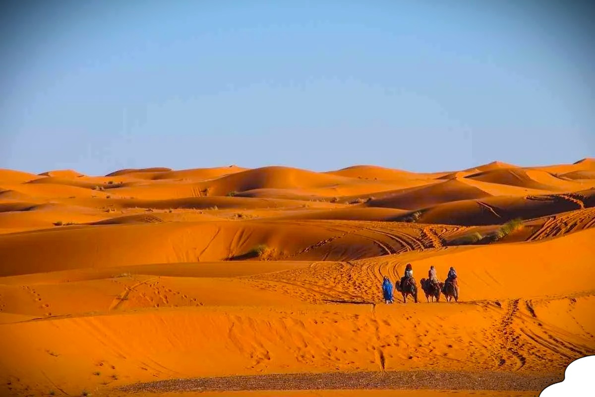 sunset-camel-tour-merzouga-zagora-morocco Travelers enjoying a Sunset Camel Tour in Zagora Morocco with golden desert dunes and a colorful sky