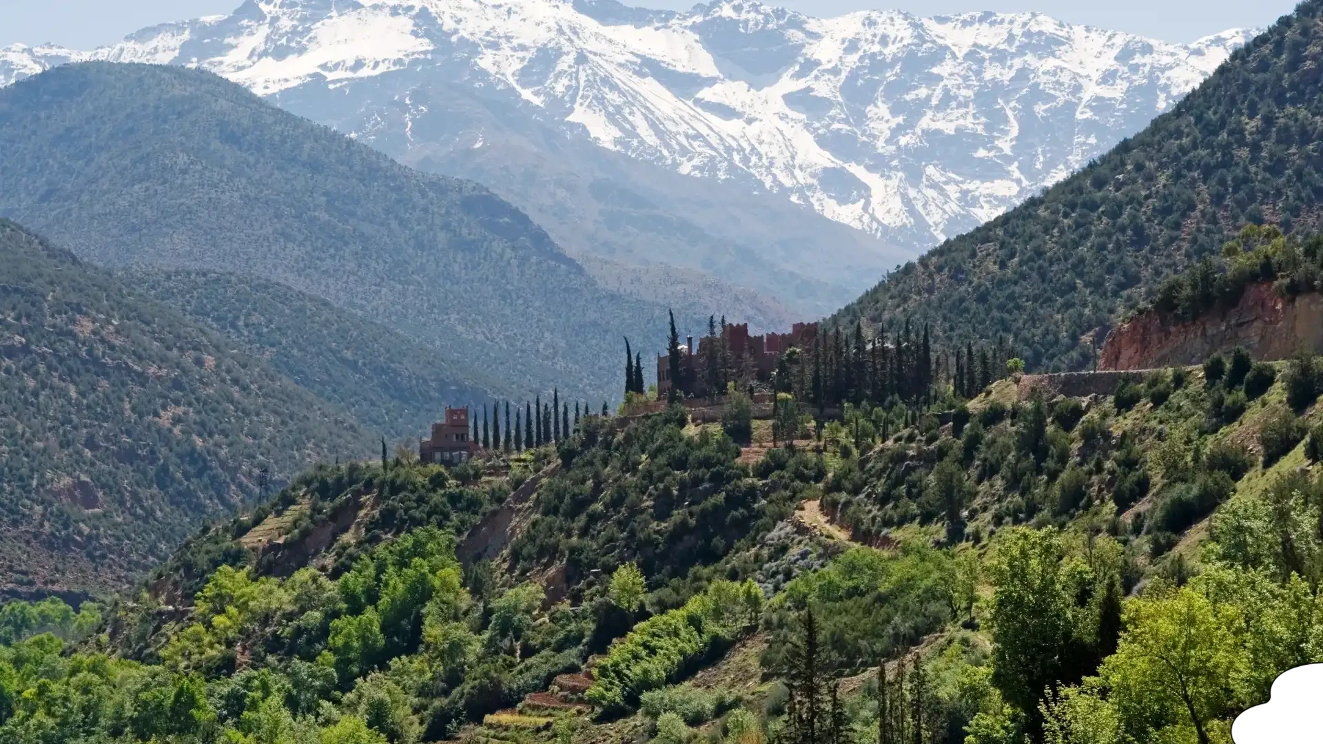 Wildlife and natural scenery seen while hiking in the Atlas Mountains.