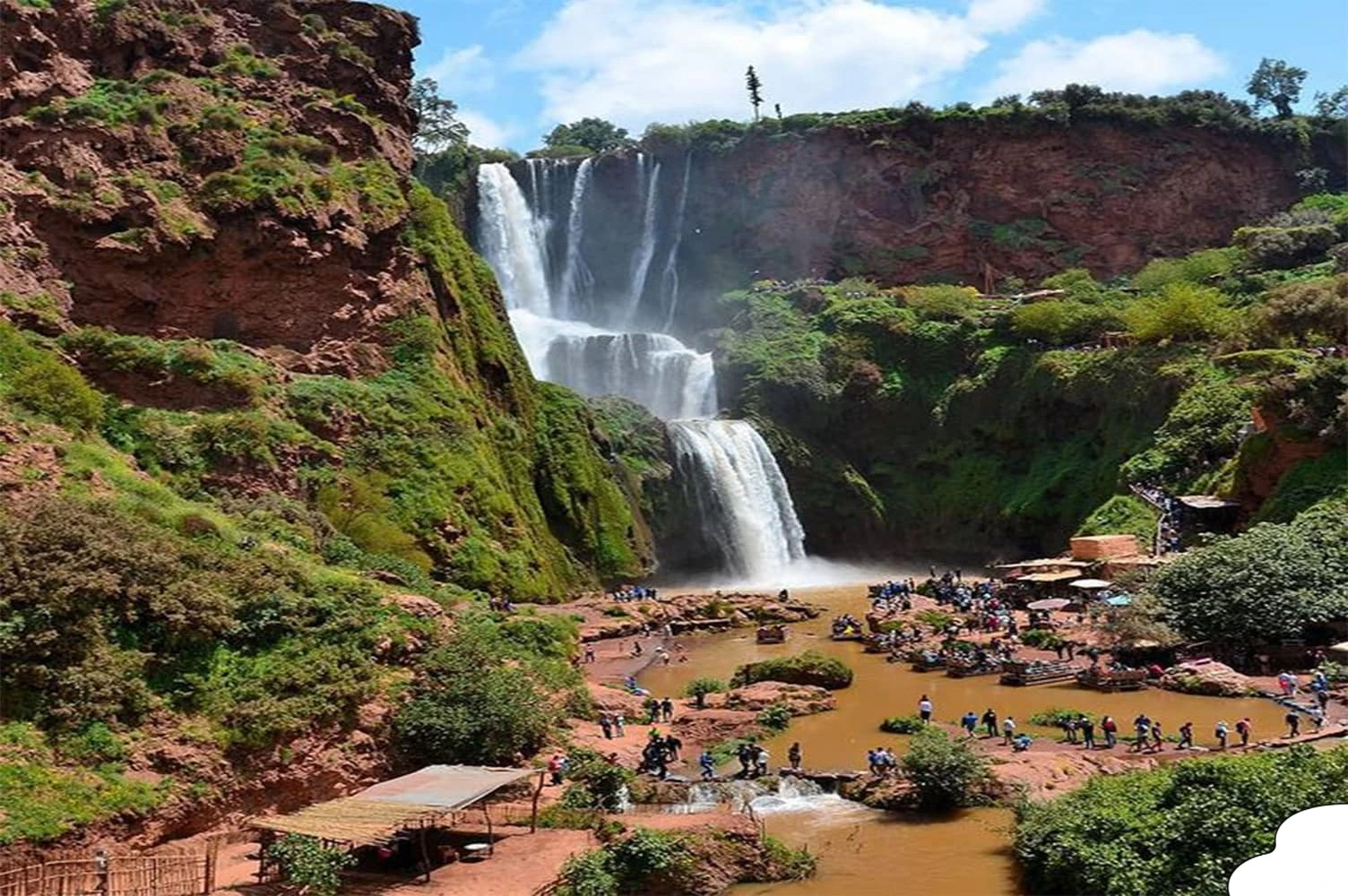 Barbary monkeys spotted during Ouzoud waterfalls day trip.