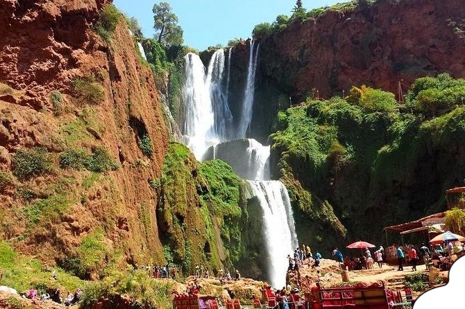 Hiking path through olive trees during Ouzoud waterfalls day trip.