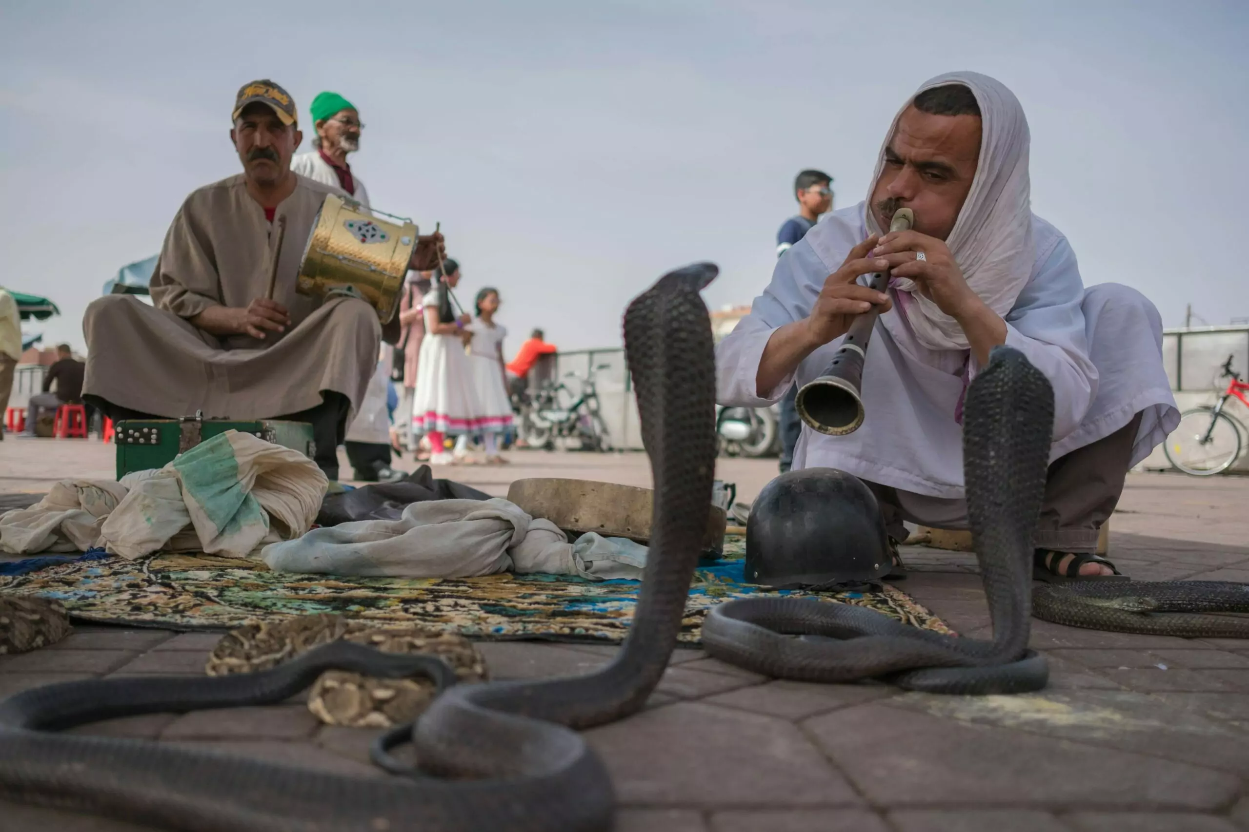 The Ultimate Guide to Jemaa el-Fna’s Best Street Food: A Culinary Adventure in Marrakech